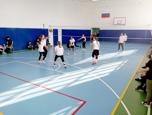 Волейбол, девочки: Ивантеевская школа - Гимназия.