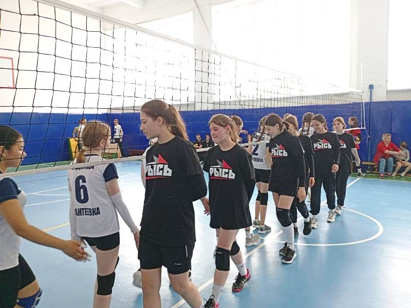 Соревнования по волейболу среди девушек.